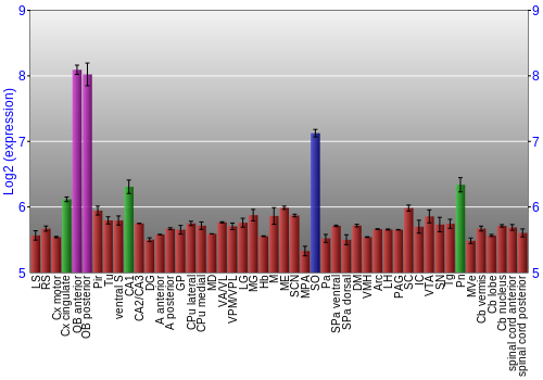 Multi-state expression graph