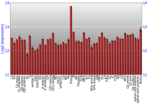 Expression graph