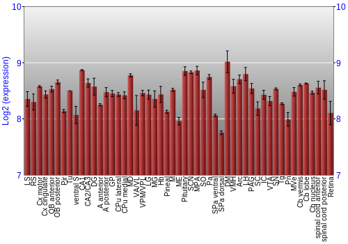 Expression graph
