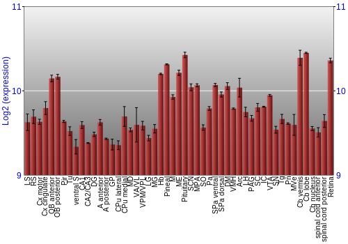 Expression graph