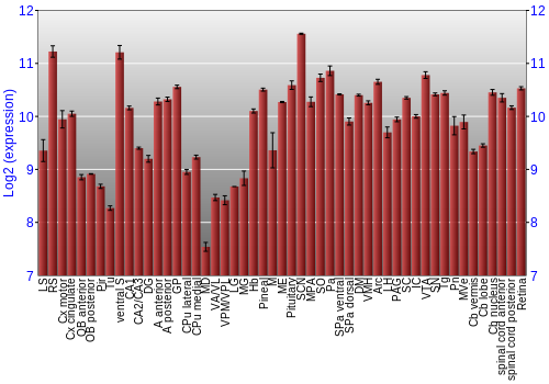 Expression graph