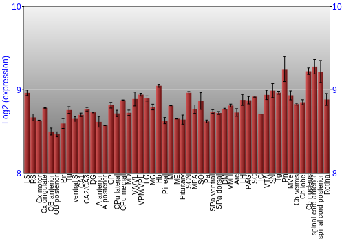Expression graph