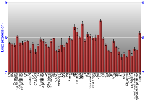 Expression graph