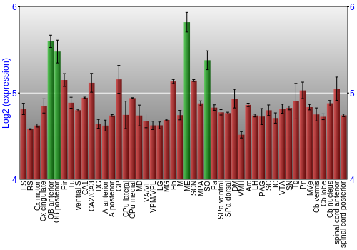 Multi-state expression graph