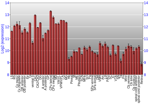 Expression graph