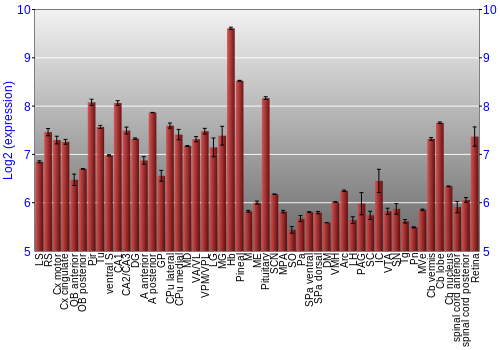 Expression graph
