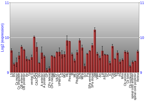 Expression graph
