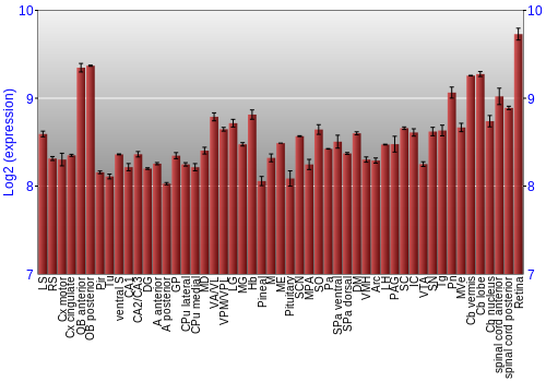Expression graph
