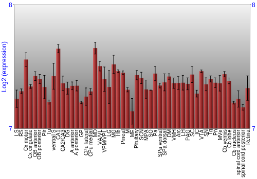 Expression graph