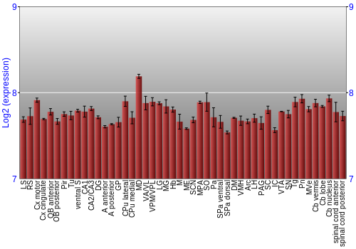 Multi-state expression graph