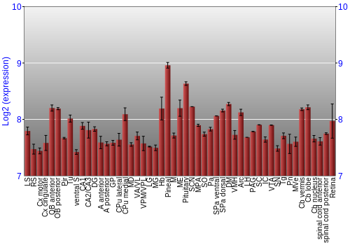 Expression graph