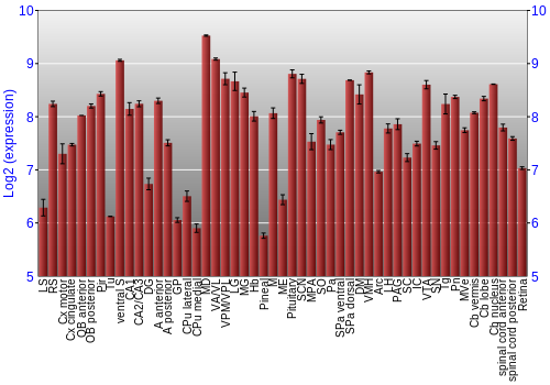 Expression graph