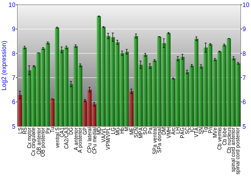 Multi-state expression graph