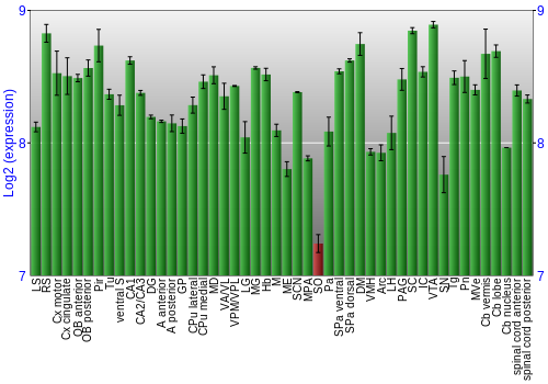 Multi-state expression graph
