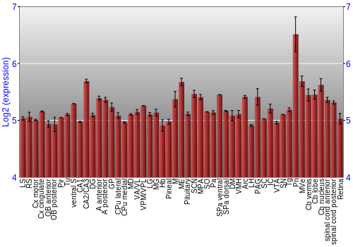 Expression graph