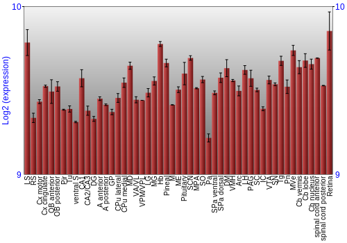 Expression graph