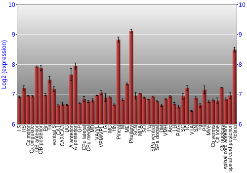 Expression graph