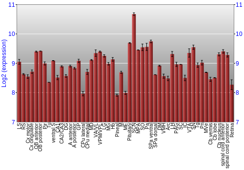 Expression graph