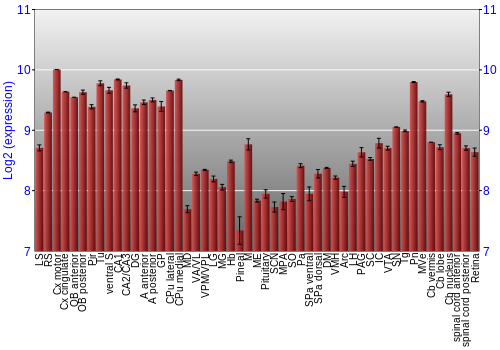 Expression graph