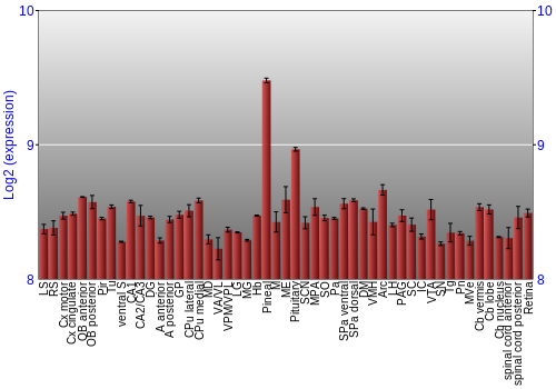 Expression graph