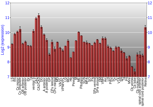Expression graph