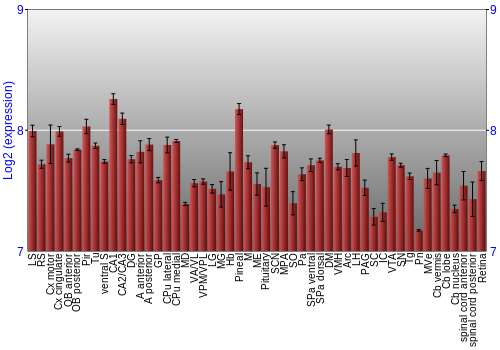 Expression graph