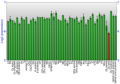 Multi-state expression graph