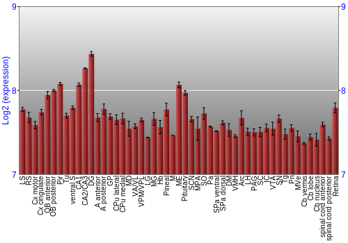 Expression graph