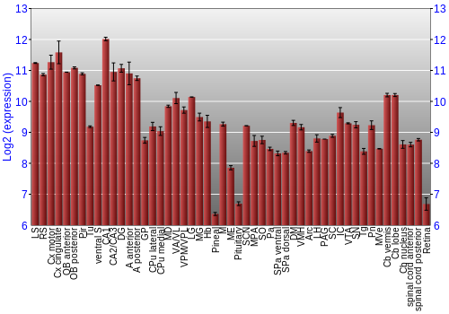 Expression graph