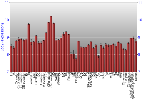 Expression graph