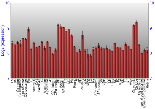Expression graph
