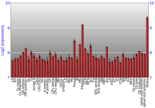 Expression graph