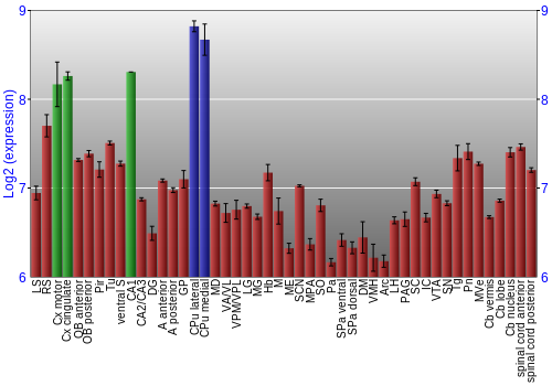 Multi-state expression graph