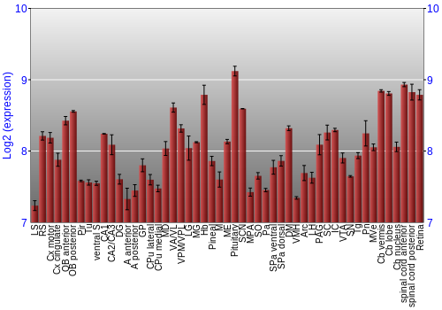 Expression graph