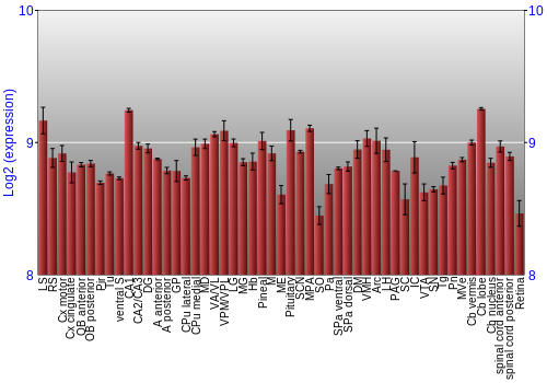 Expression graph