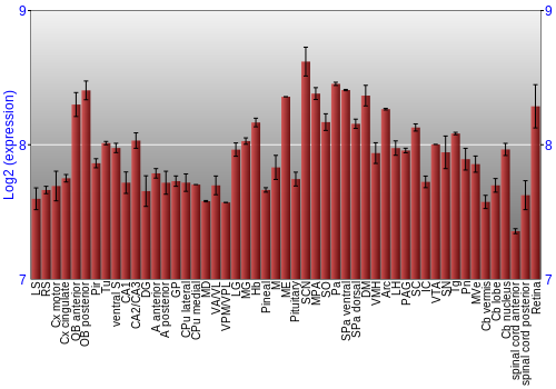 Expression graph