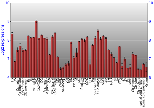 Expression graph
