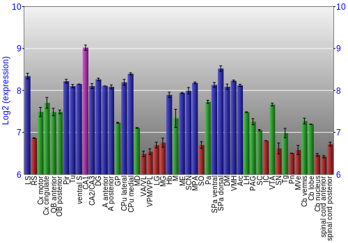 Multi-state expression graph