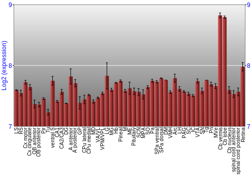 Expression graph
