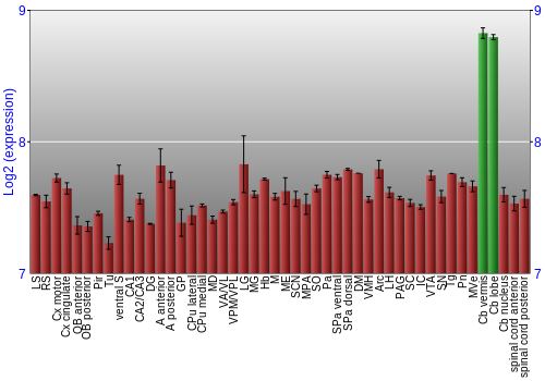 Multi-state expression graph