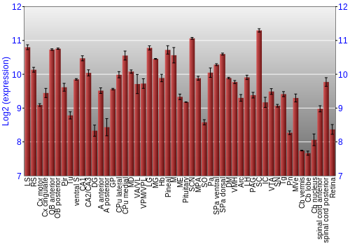 Expression graph