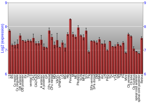 Expression graph