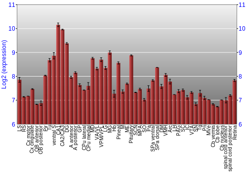 Expression graph