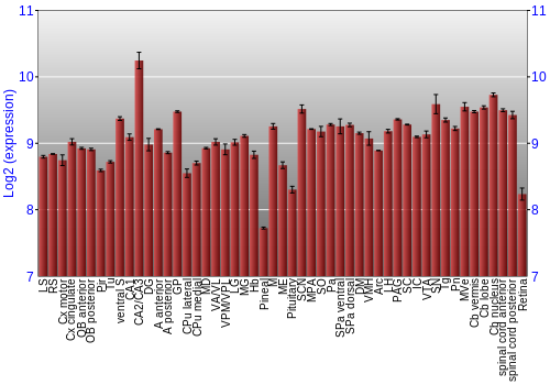 Expression graph