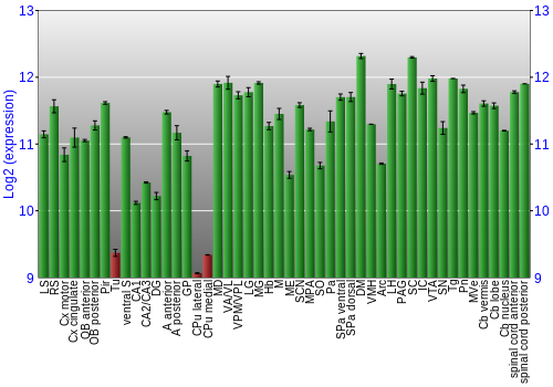 Multi-state expression graph