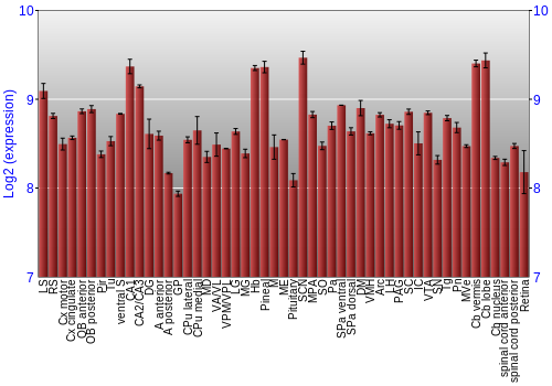 Expression graph