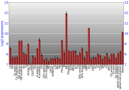 Expression graph