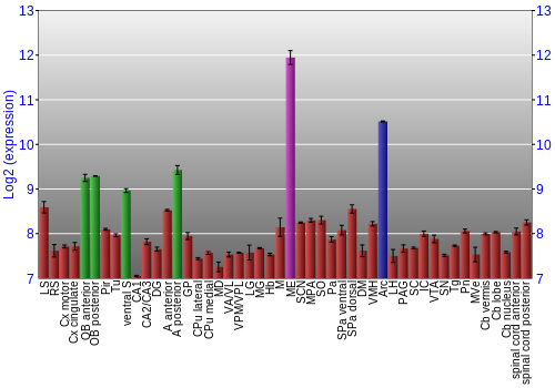 Multi-state expression graph