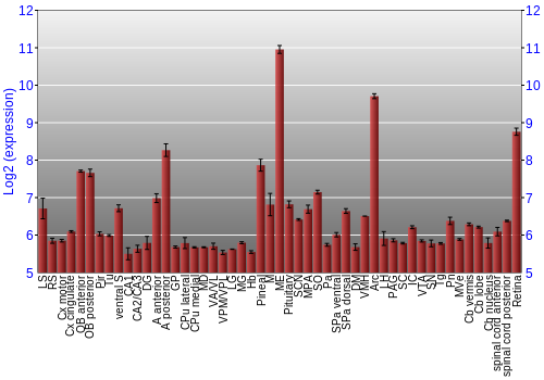 Expression graph