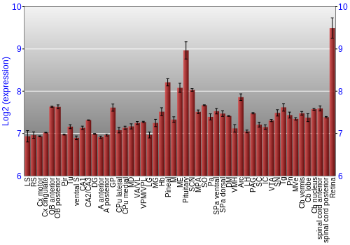 Expression graph